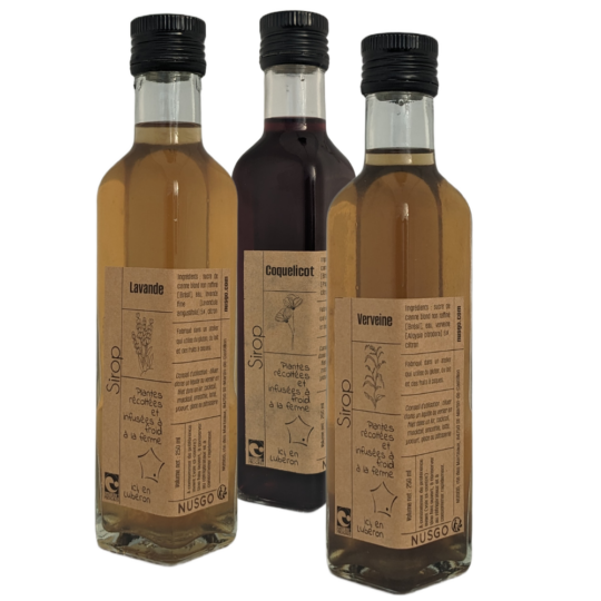 Lot de 3 sirops au choix