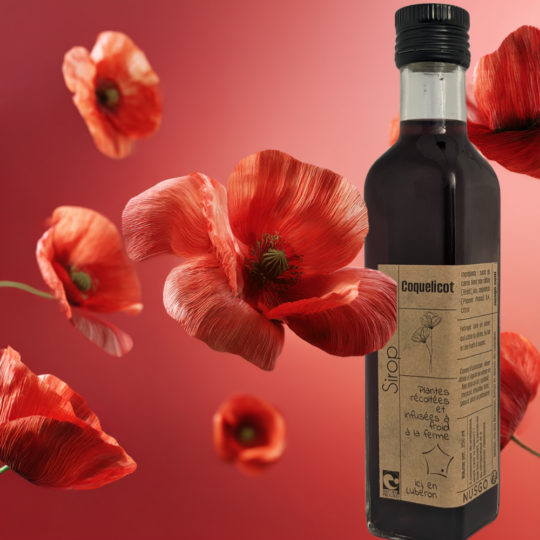 Sirop de coquelicot